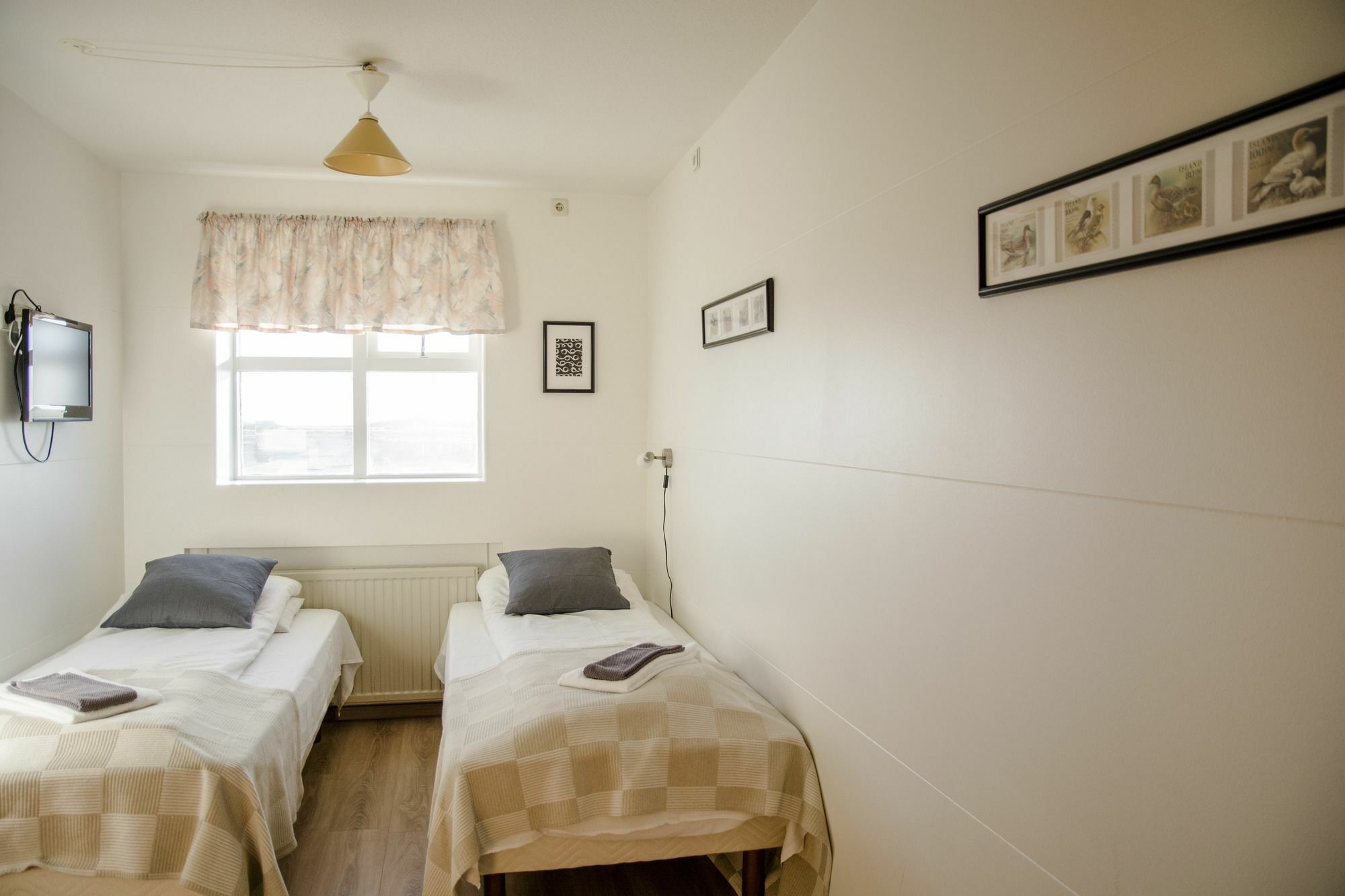 Guesthouse Hvammur Höfn Extérieur photo